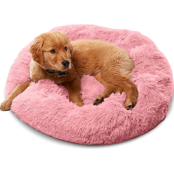Tucker Murphy Pet™ Premium Dog Beds For Large Dogs And Medium Dogs